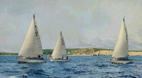 Kingfisher fleet brochure